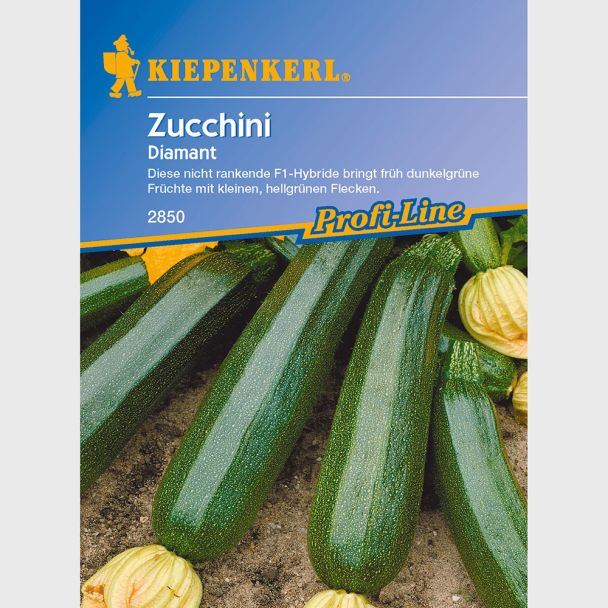 Zucchini 'Diamant' F1