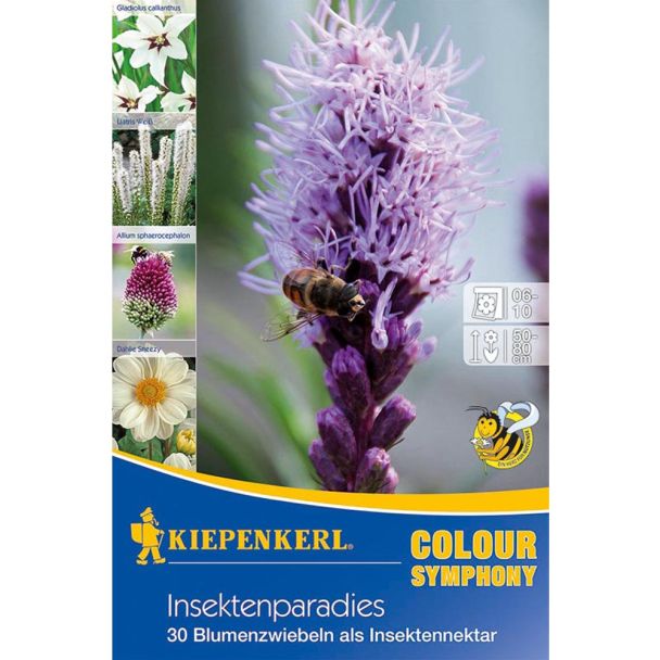 Insektenparadies