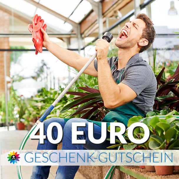 Geschenk-Gutschein, Wert 40 Euro Sänger