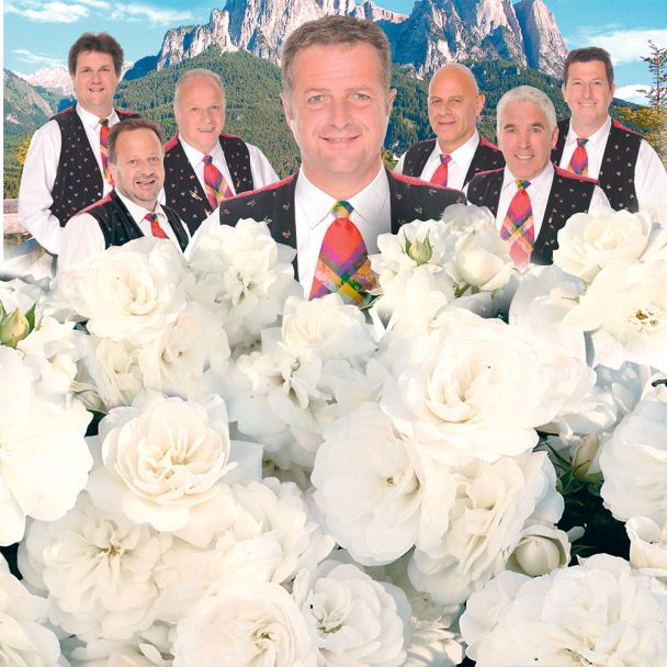 'Die Kastelruther Spatzen®' Rose
