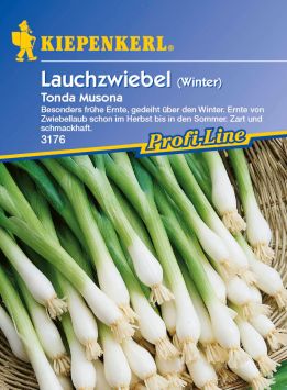 Winterlauchzwiebel 'Tonda Musona'