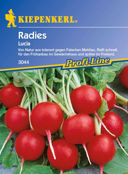 Radies 'Lucia F 1'