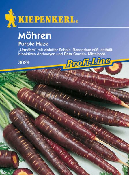 Möhren 'Purple Haze' - F1