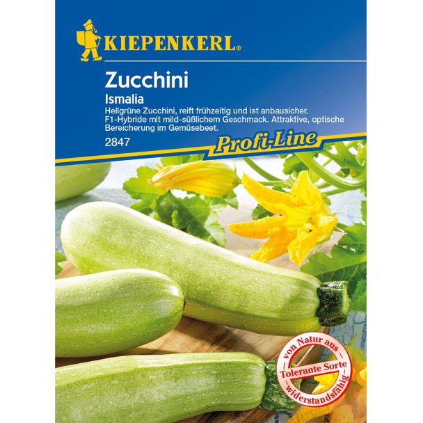Zucchini 'Ismalia' F1