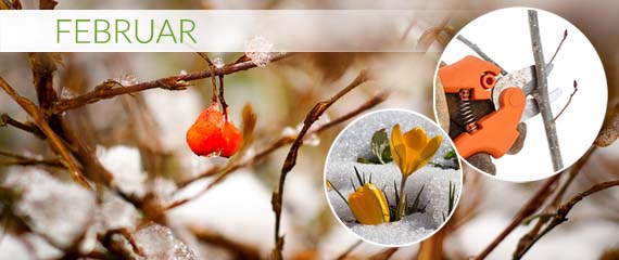 Ahrens Sieberz Pflanzenversand Gartenbedarf