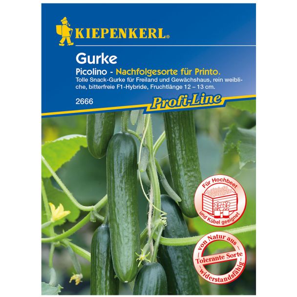 Mini-Snack-Gurke 'Picolino' F1