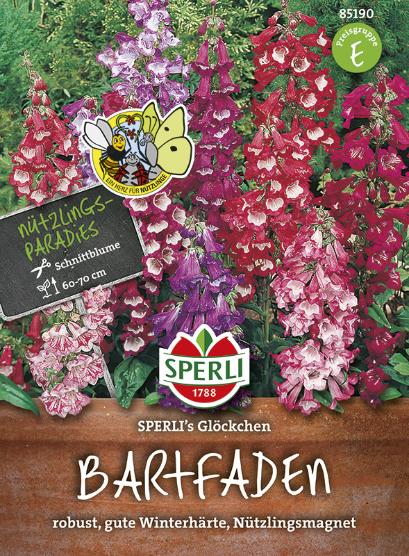 Bartfaden 'SPERLI's Glöckchen' Mehrjährige Blumen Blumensamen