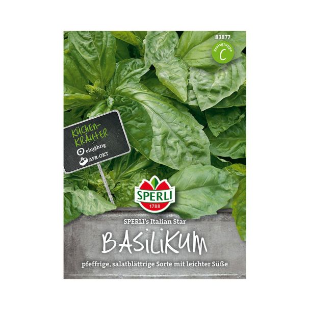 Basilikum 'SPERLI´s Italien Star'