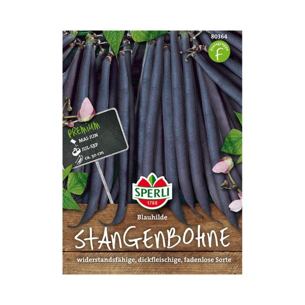 Sperli Stangenbohnen 'Blauhilde'