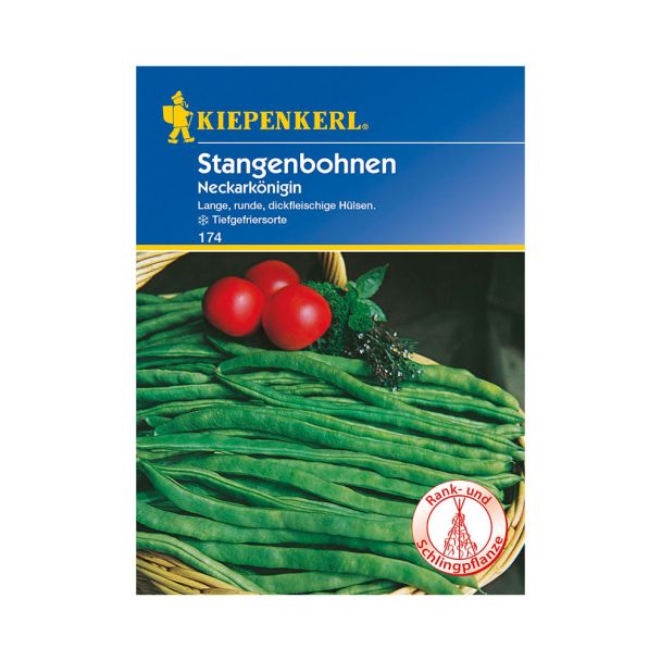 Stangenbohnen 'Neckarkönigin'