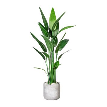 Kunstpflanze Wassercanna (ca. 140 cm)