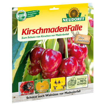 KirschmadenFalle