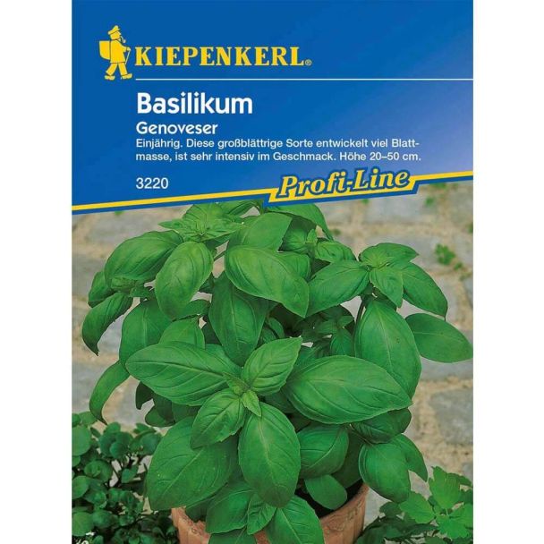 Basilikum 'Genoveser'
