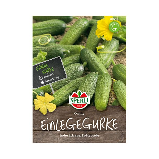Einlegegurke 'Conny F1'