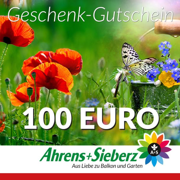 Geschenk-Gutschein, Wert 100 Euro Sommerfreude