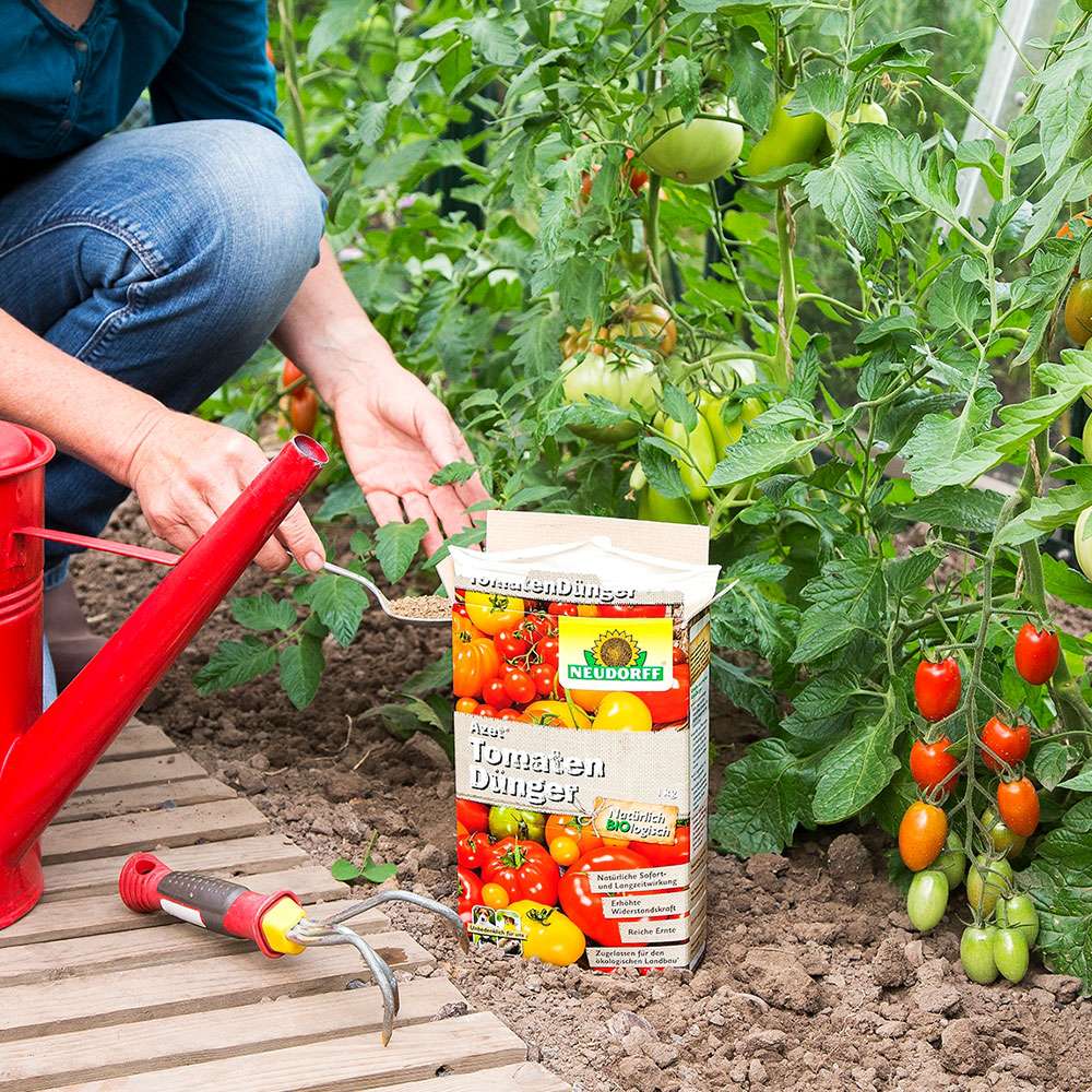 calcium dünger tomaten GreenPanda - 100% biologisch - Tomatendünger - Calciumdünger main image 1
