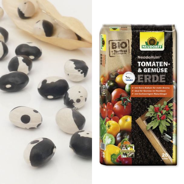 Yin & Yang-Bohnen + Erde (Sparangebot)