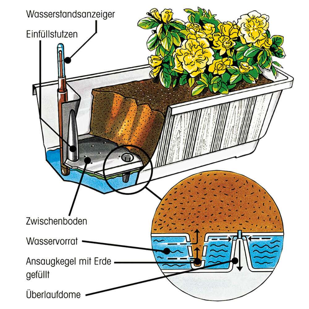 Balkonkasten 'Aqua-Green Plus', anthrazit, 100 cm | Balkonksten |  Pflanzgefe & Zubehr | Zubehr | Ahrens+Sieberz - Pflanzenversand &  Gartenbedarf