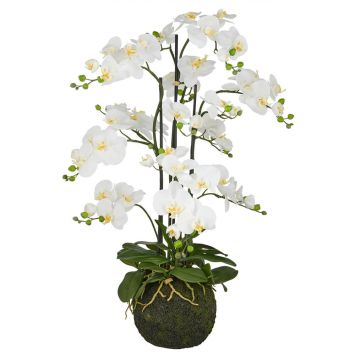 Kunstpflanze Orchidee in Weiß mit Real Touch Effekt