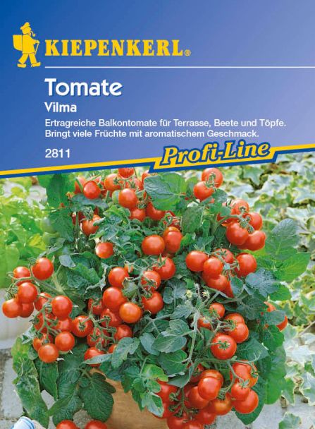 Tomaten (Balkontomaten) 'Vilma'