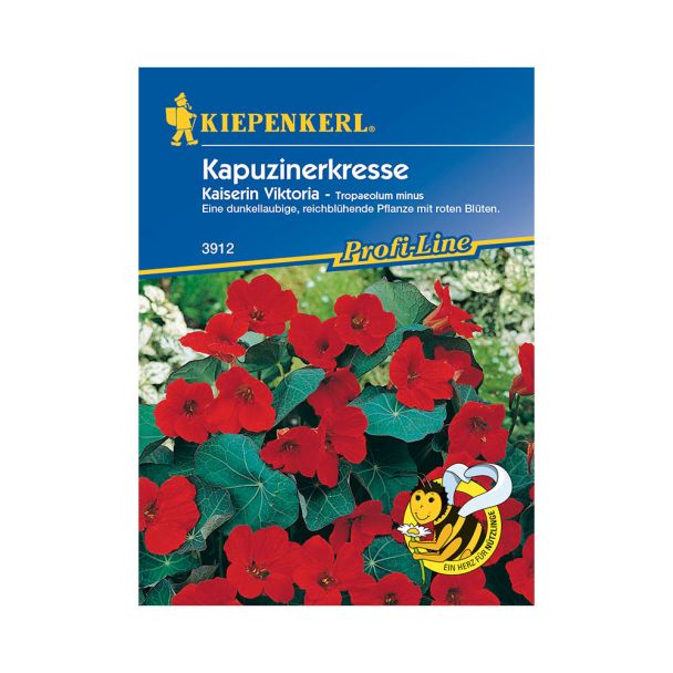 Kapuzinerkresse 'Kaiserin Viktoria'