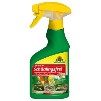 Spruzit® AF Schädlingsfrei, 250ml (1 L / € 43,96)