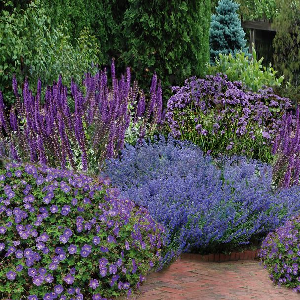 Staudengarten Große Liebe - 12 Prachtstauden im Set