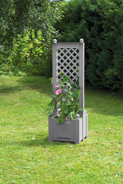 Pflanzkasten zentriert mit Spalier, 43 cm in Grau