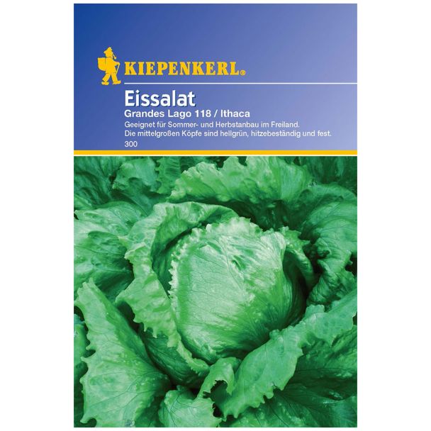 Eissalat 'Grandes Lago Ithaca'