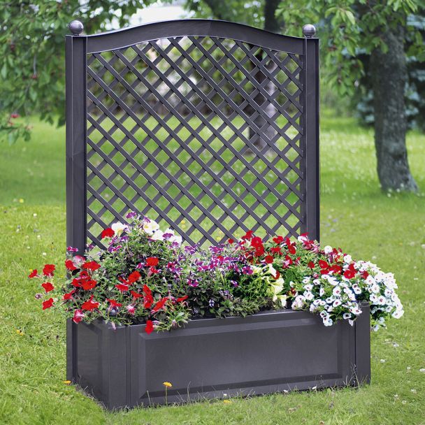 Pflanzkasten mit Spalier, 100 cm Anthrazit