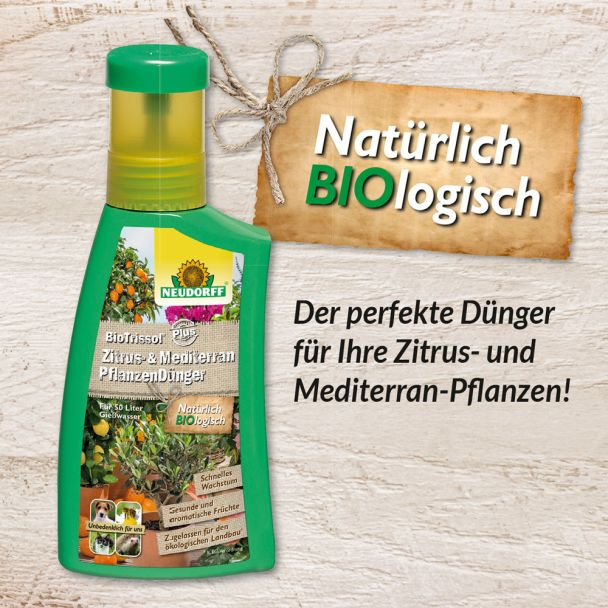 Bio Trissol® Plus 'Zitrus- & MediterranpflanzenDünger' 250 ml (100 ml / € 2,20)