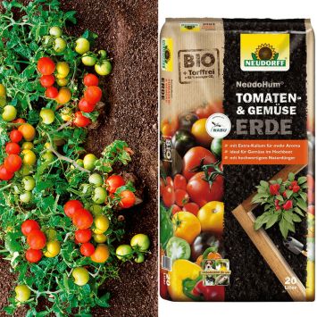 Tomate Botoma + Erde (Sparangebot)