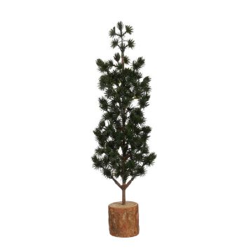 Grüner Miniatur-Zierbaum