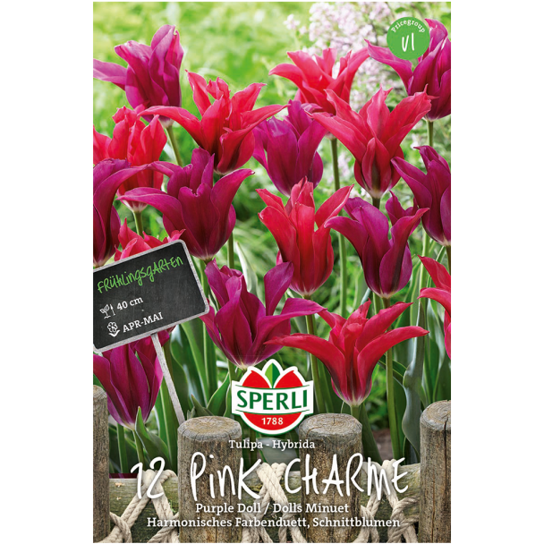 Sperli Frühlingsgarten Pink Charme
