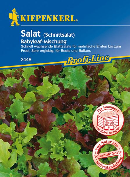 Schnittsalat 'Babyleaf-Mischung'