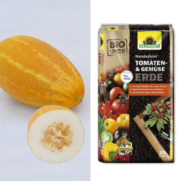 Set-Preis: 2 Gurmelo - Melonen-Gurken + Erde