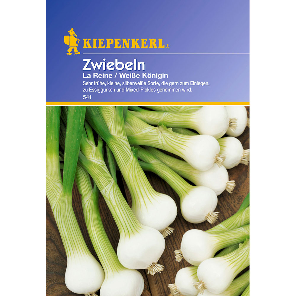Zwiebeln &amp;#39;La Reine / Weiße Königin&amp;#39; | Zwiebeln | Gemüsesamen | Gemüse ...
