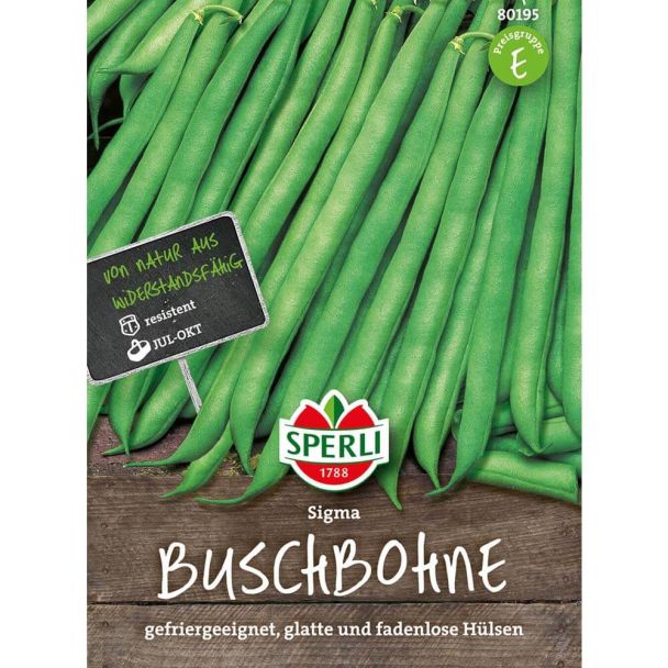 Buschbohne 'Sigma'