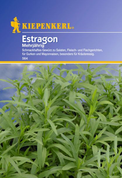 Estragon 'Mehrjährig'