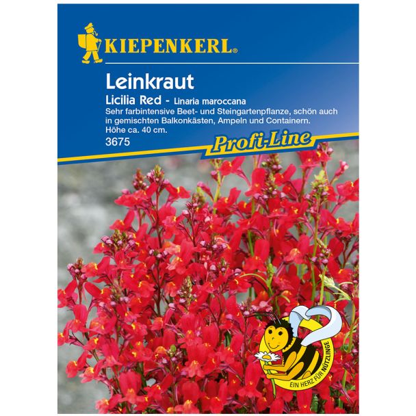 Leinkraut 'Licilia Red'