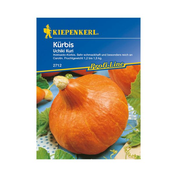 Kürbis 'Uchiki Kuri'