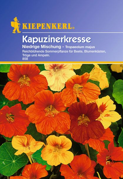 'Kapuzinerkresse' Niedrige Mischung