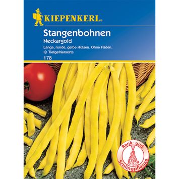 Stangenbohnen 'Neckargold'