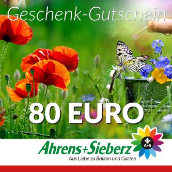 Geschenk-Gutschein, Wert 80 Euro Sommerfreude