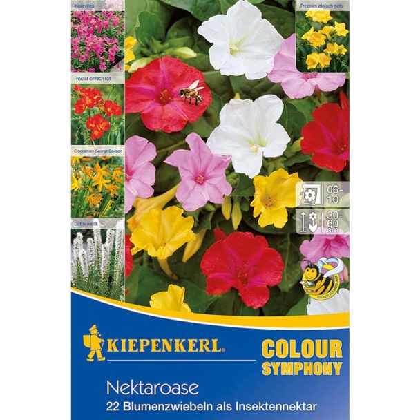 Nektaroase