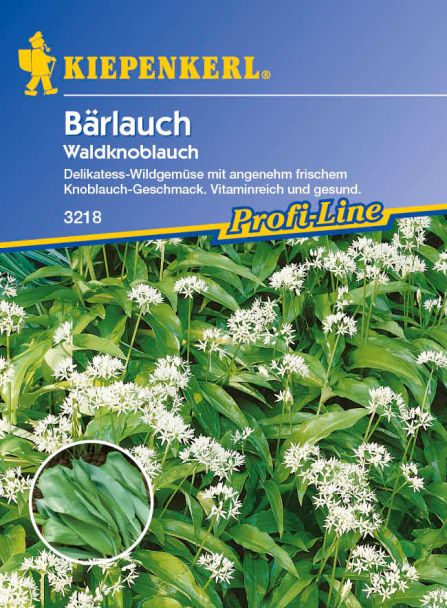 Waldknoblauch 'Bärlauch'