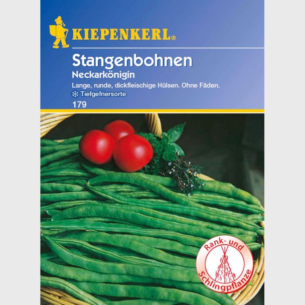 Stangenbohnen 'Neckarkönigin'