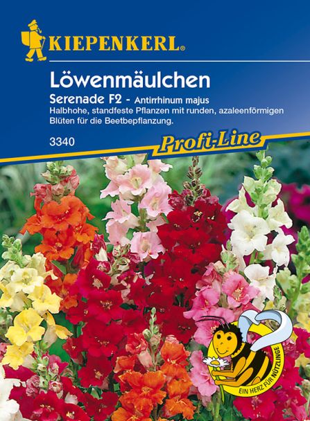 Löwenmäulchen 'Serenade' F2