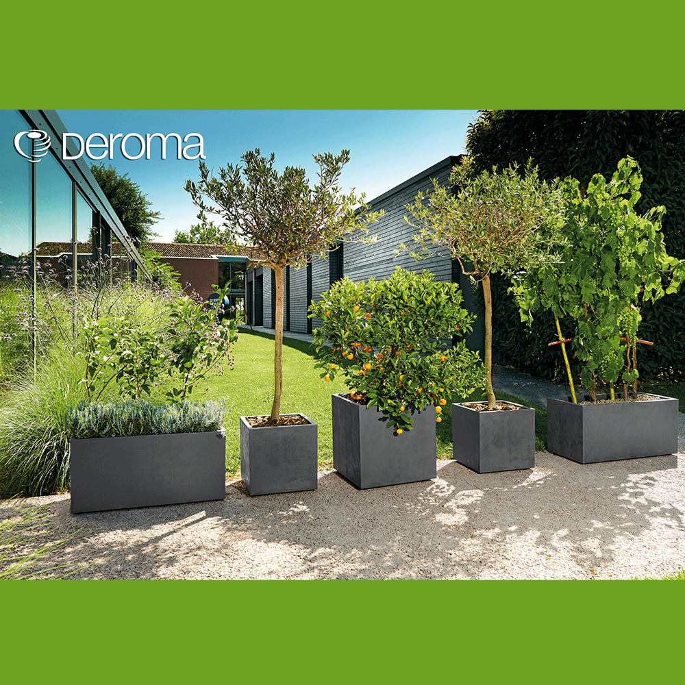 Pflanzkbel Cubo Millenium (39 cm) kaufen | Ahrens+Sieberz -  Pflanzenversand & Gartenbedarf
