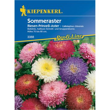 Sommeraster Riesen-Prinzeß - Mischung